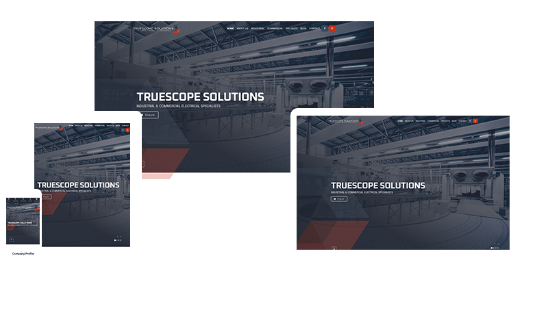 Truescope Website Example