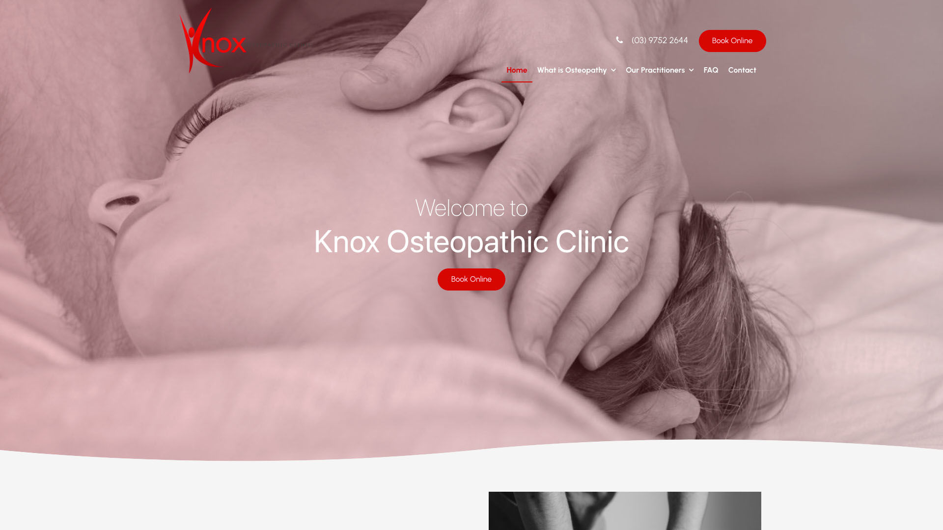 Medical Website example 1