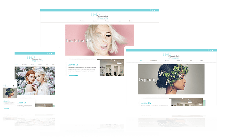 Hait Website Example